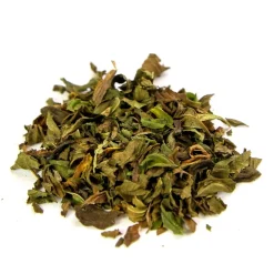 Ziółko, mięta, susz, 50 g